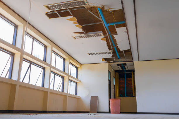 Best Water damage restoration near me  in Rock Island, IL