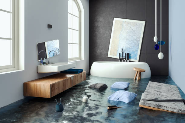 Best Basement water damage restoration  in Rock Island, IL