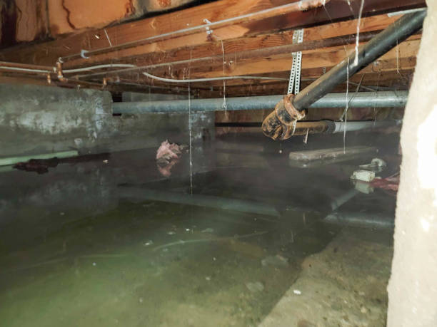 Best Residential water damage restoration  in Rock Island, IL
