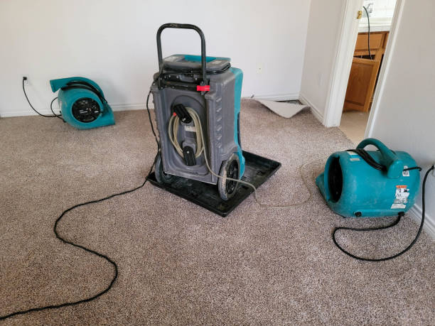 Best Mold removal after water damage  in Rock Island, IL