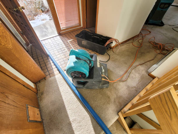 Best Water damage restoration services  in Rock Island, IL