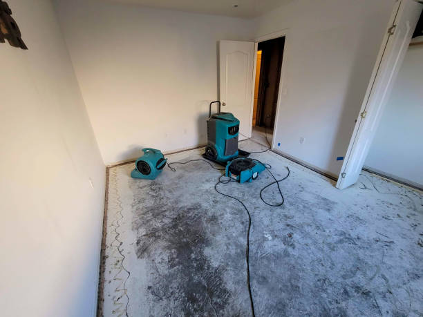 Best Water damage restoration near me  in Rock Island, IL