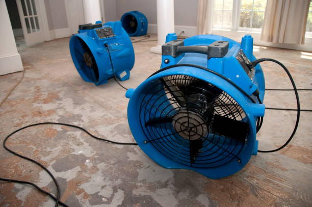 Best Flood restoration services  in Rock Island, IL