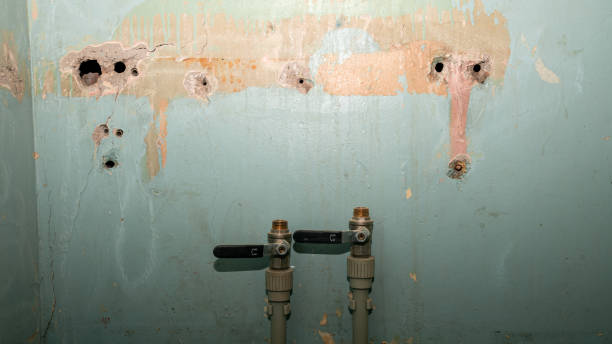 Best Carpet water damage restoration  in Rock Island, IL