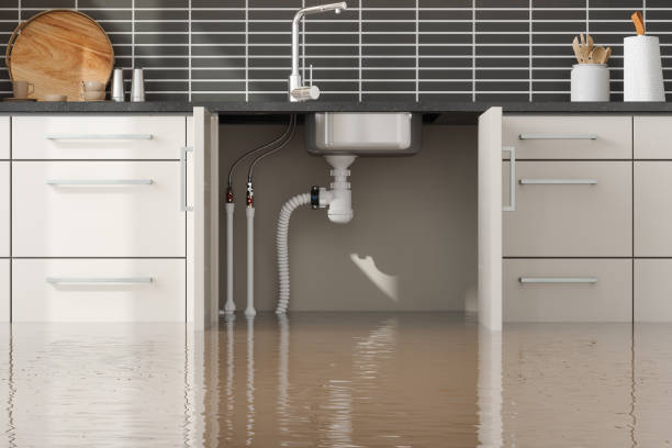  Rock Island, IL Water damage restoration Pros