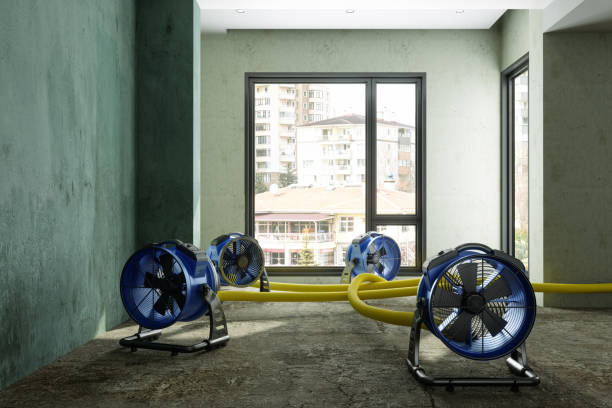 Best Professional water damage repair  in Rock Island, IL